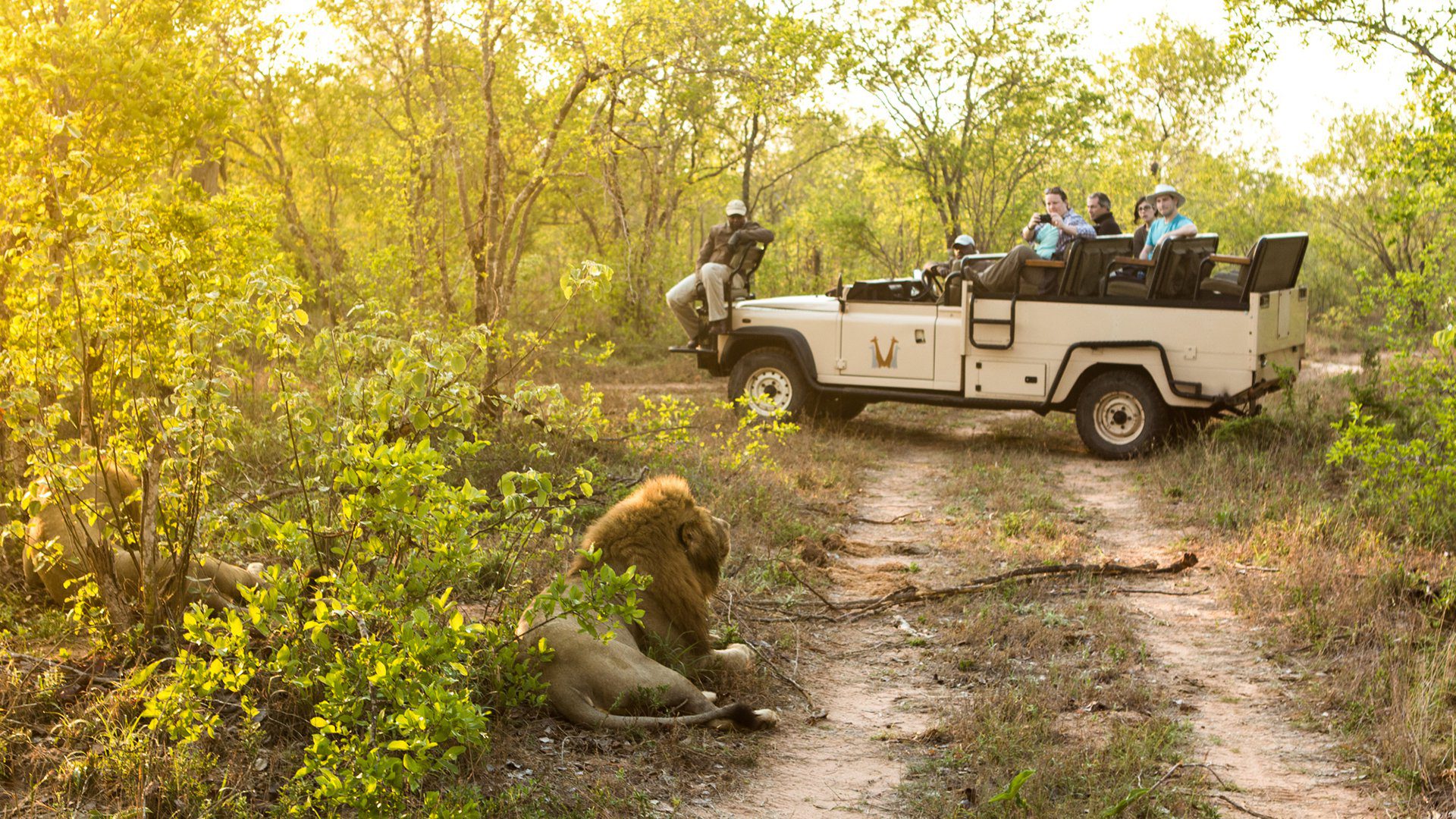 Chitwa Chitwa Safari Lodge 31