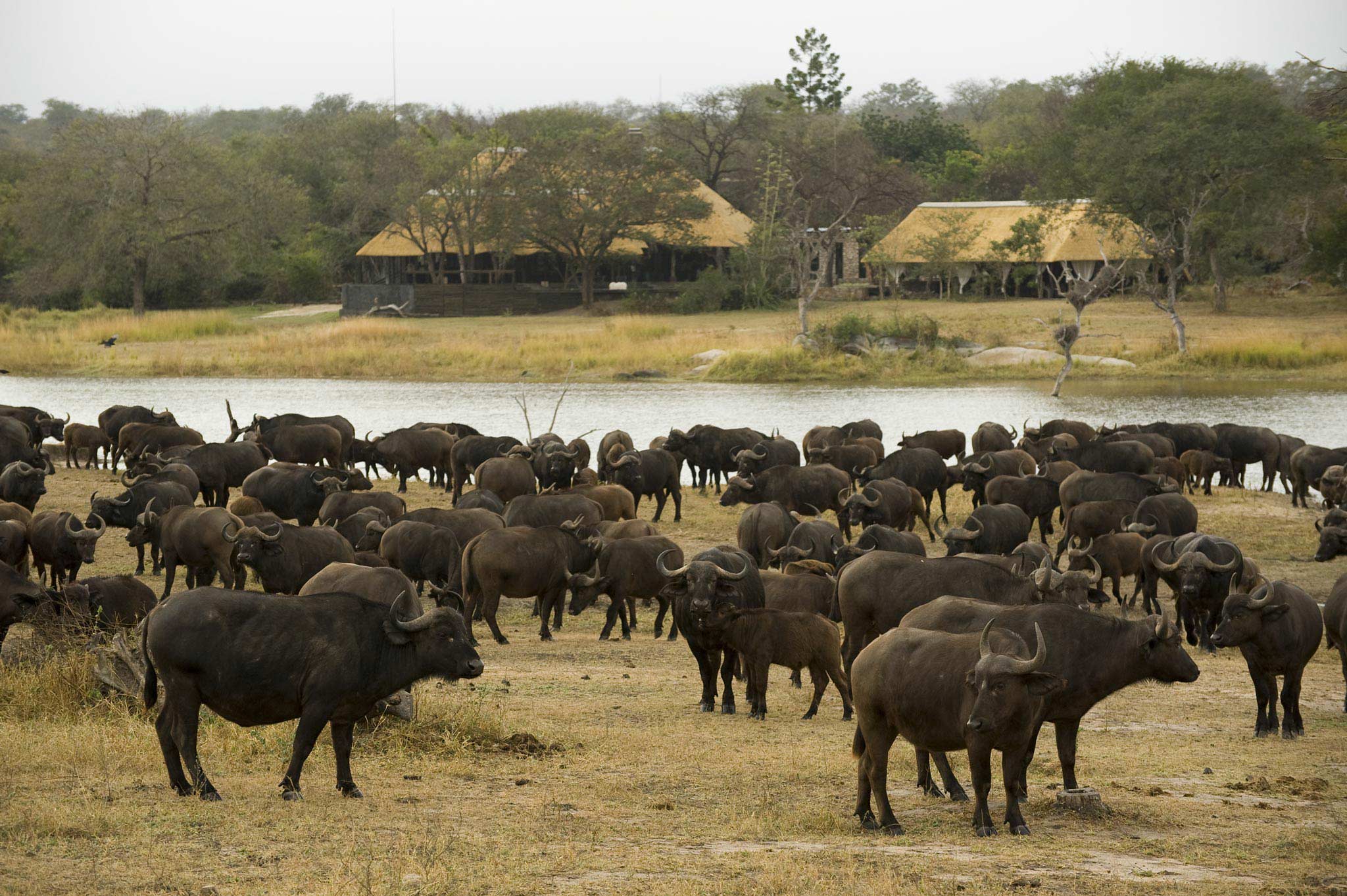 Chitwa Chitwa Safari Lodge 34