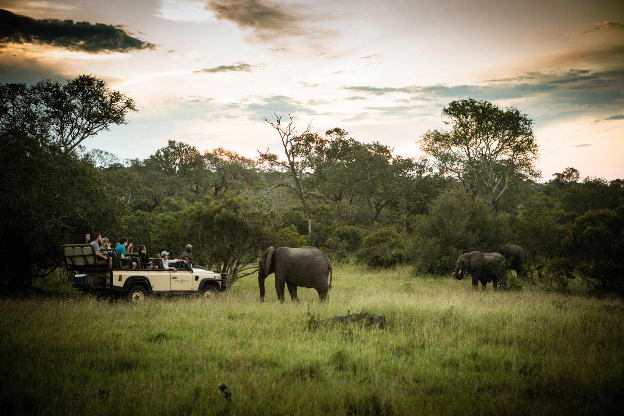 Chitwa Chitwa Safari Lodge 35