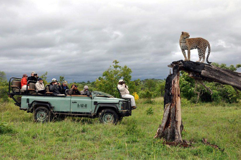 Idube Safari Lodge Images 6