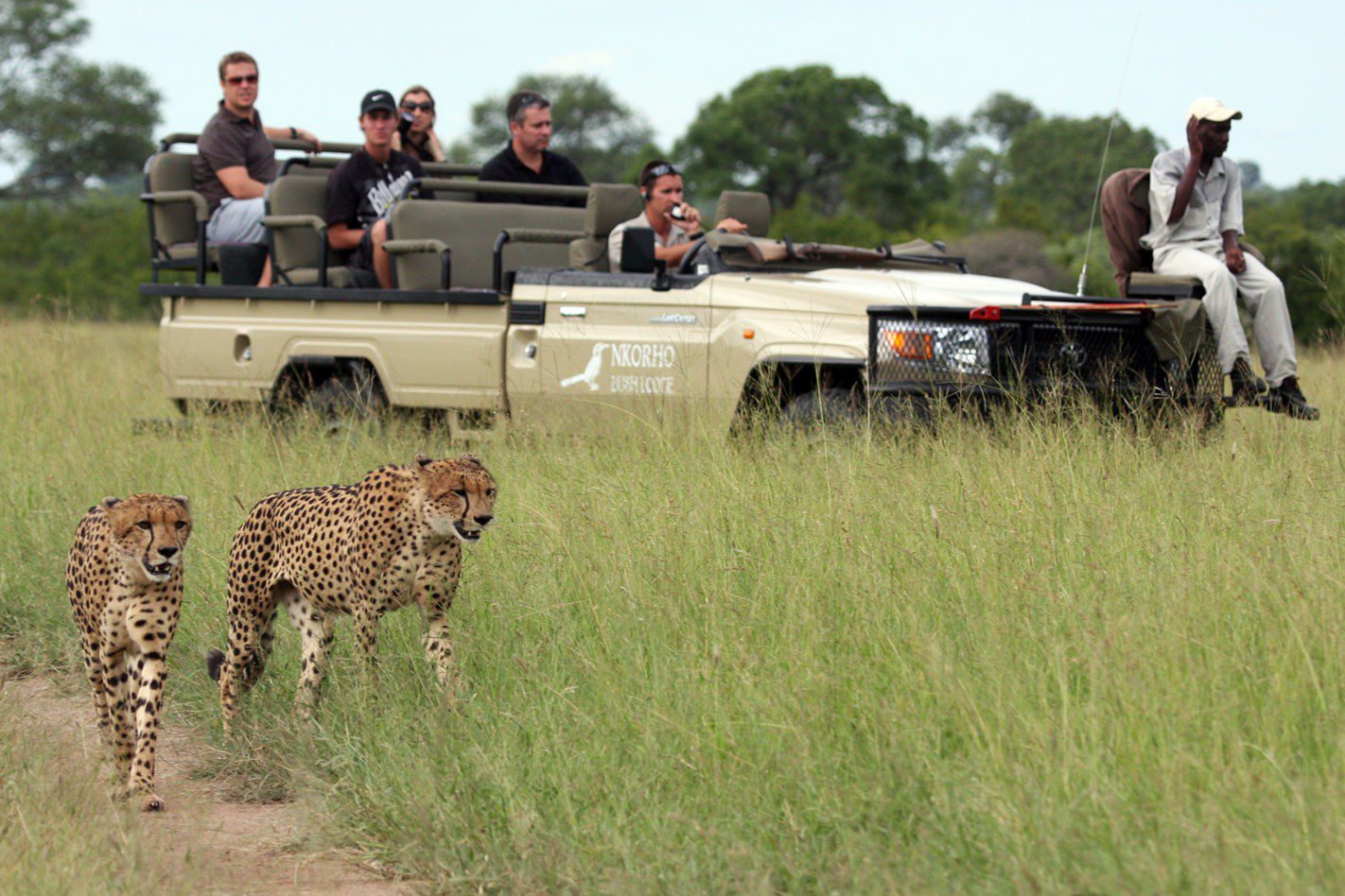 Nkorho Bush Lodge 46