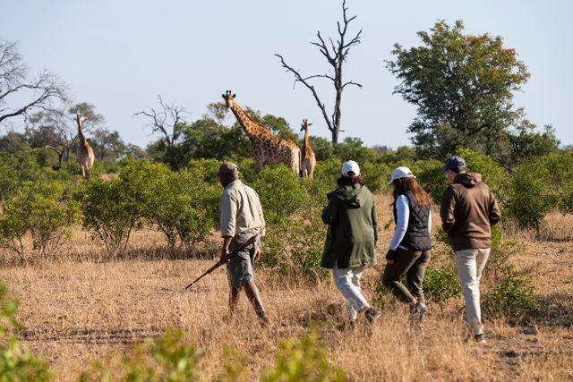 inyati game lodge sabi sands 20