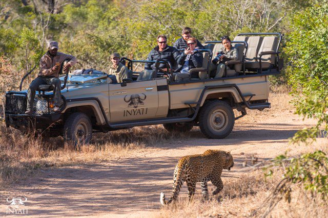 inyati game lodge sabi sands 3