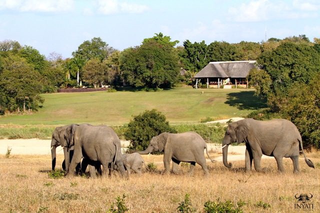 inyati game lodge sabi sands 31