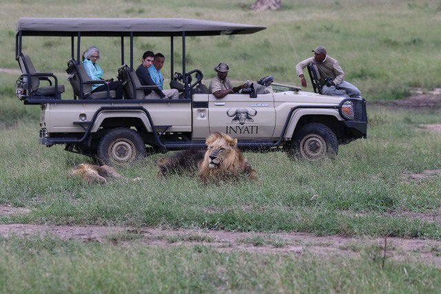 inyati game lodge sabi sands 34