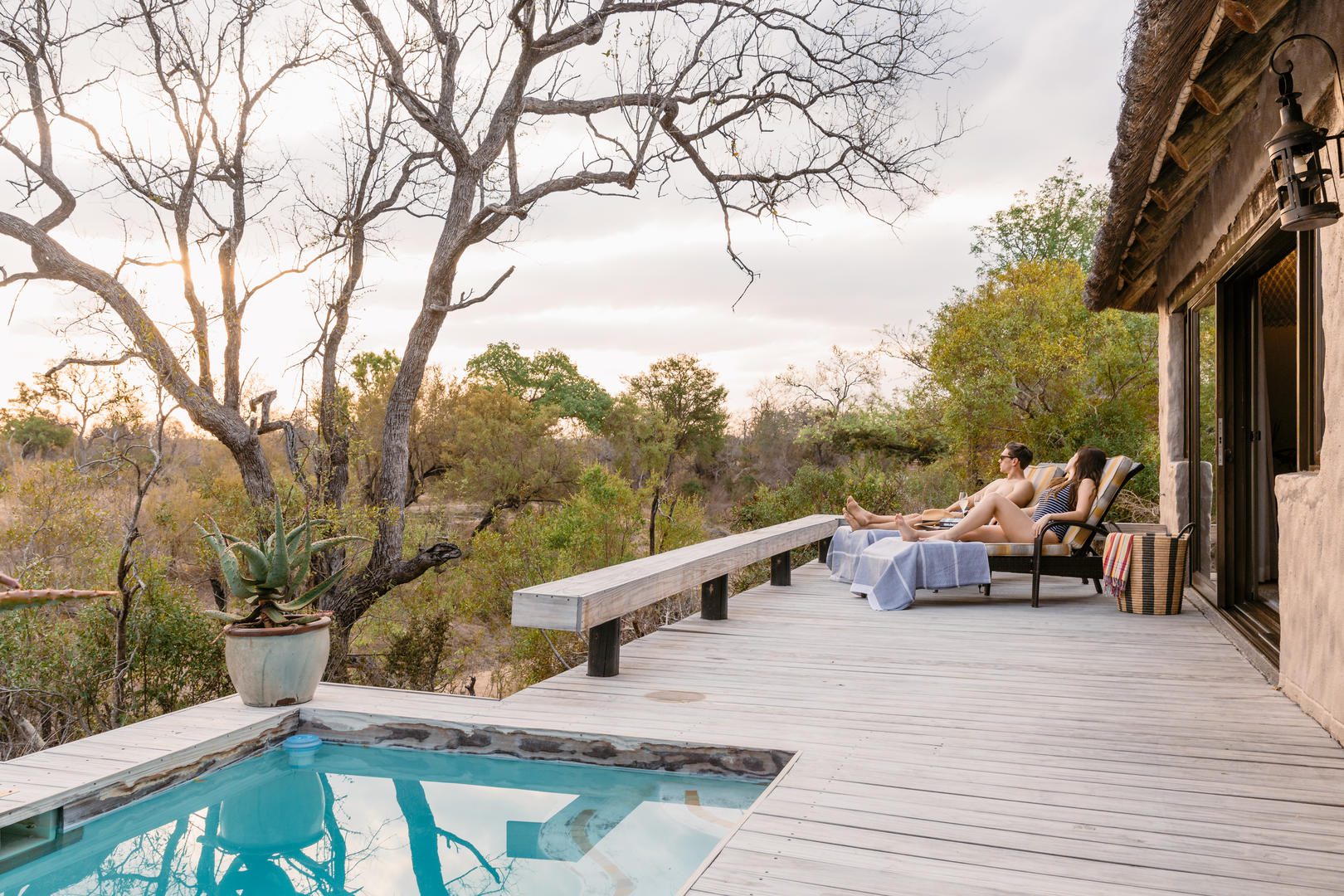 simbambili sabi sands safari lodges reservations 46