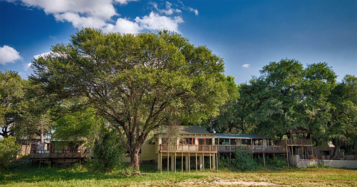 nottens bush camp accommodation sabi sands 1