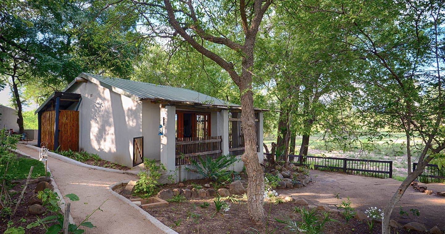 nottens bush camp accommodation sabi sands 4