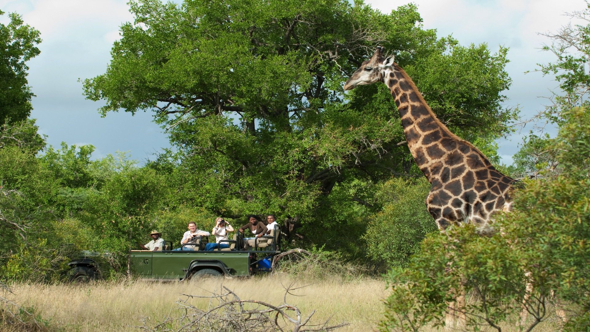 nottens bush camp wildlife sabi sands 5