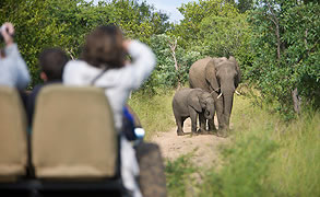 kapama southern camp, Kruger Park