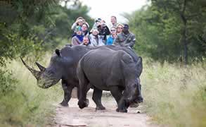 kapama southern camp, Kruger Park